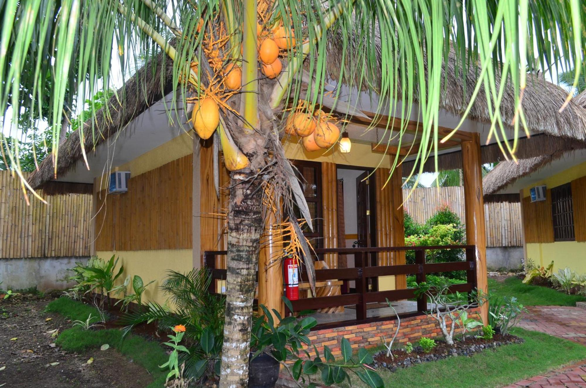 Veraneante Resort Panglao Ruang foto